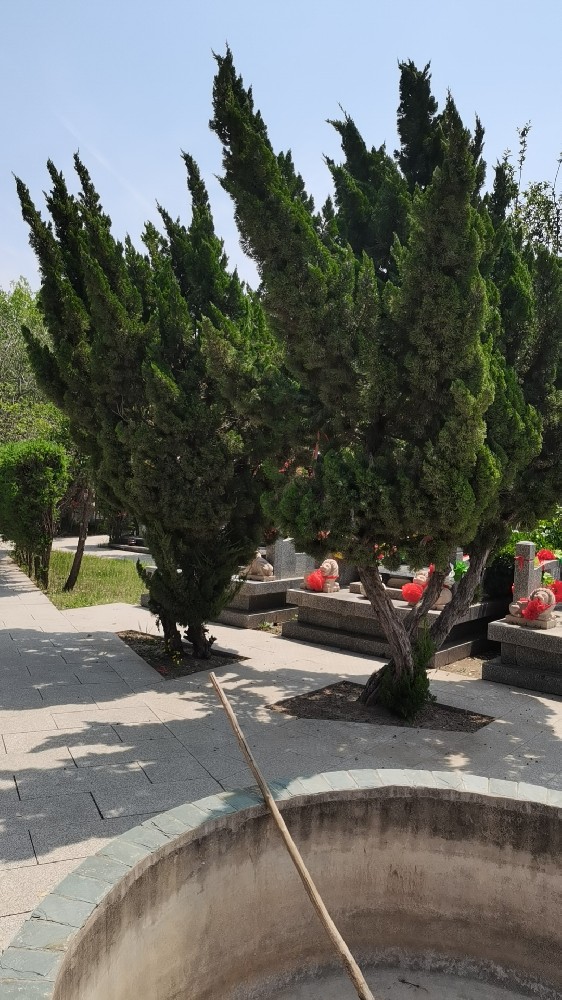 天津公墓-天津公墓传统公墓环境