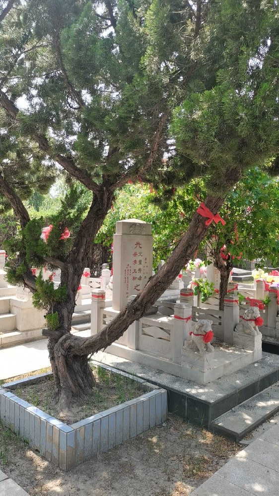 天津公墓-天津公墓有什么历史背景