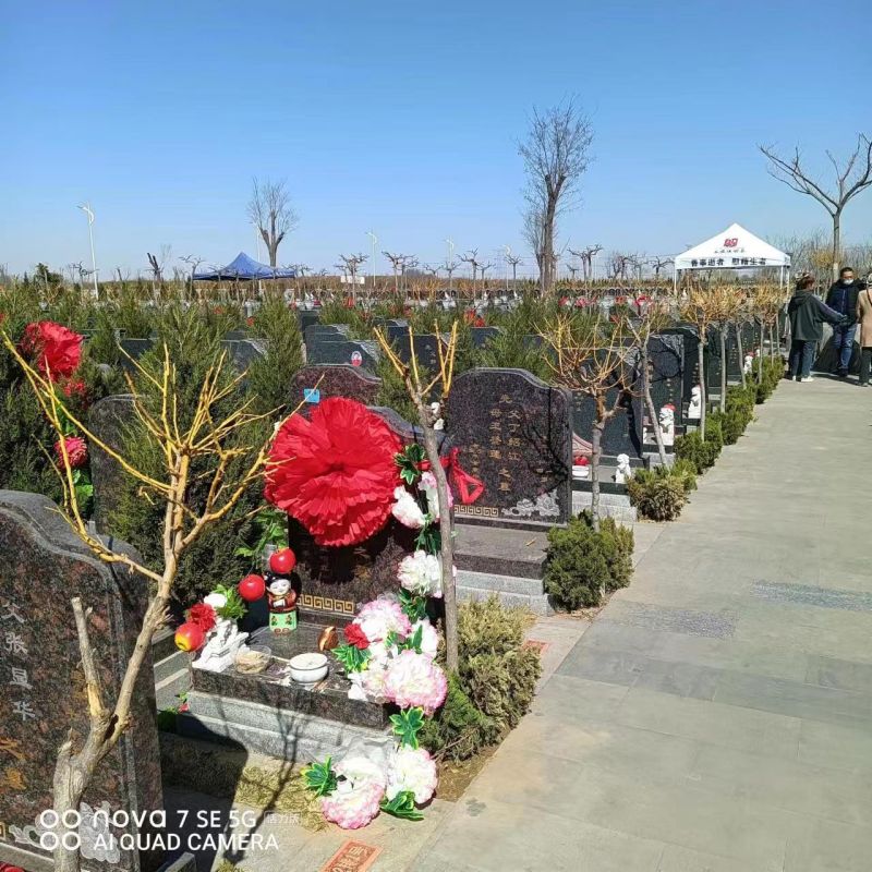 永安陵公墓-永安陵人文纪念园会是对逝者的尊重，对生者情感需求的关怀吗？