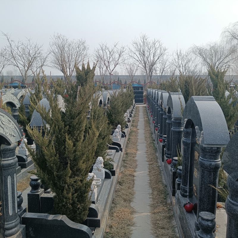 永安陵公墓-永安陵人文纪念园从“避讳”到“参与”的功能拓展